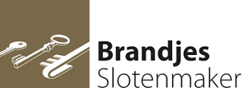 Logo Brandjes google website